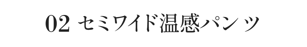 セミワイド温感パンツ